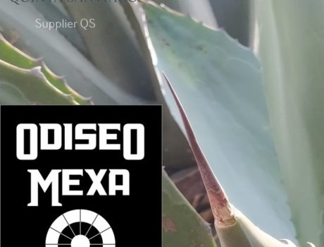 Quinta Santiago WEBPAGE Supplier Odiseo1