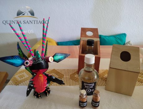 Quinta Santiago WEBPAGE Supplier Odiseo11