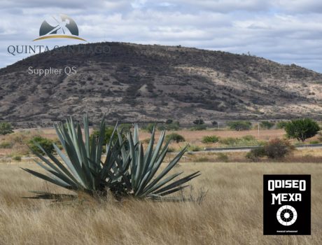 Quinta Santiago WEBPAGE Supplier Odiseo4