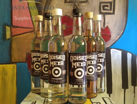 Quinta Santiago WEBPAGE Supplier Odiseo8